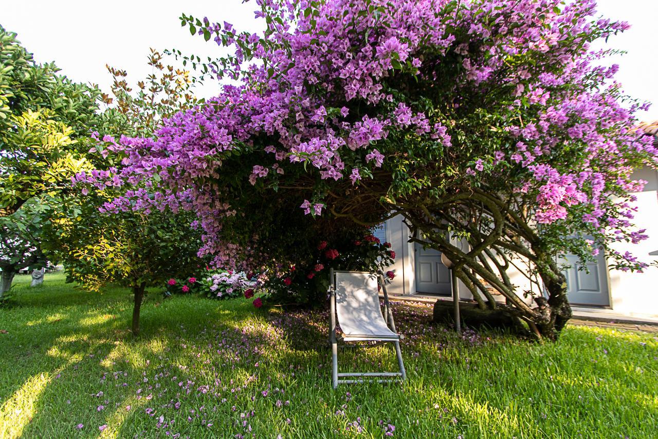 Villa Hermes San Ferdinando Eksteriør bilde